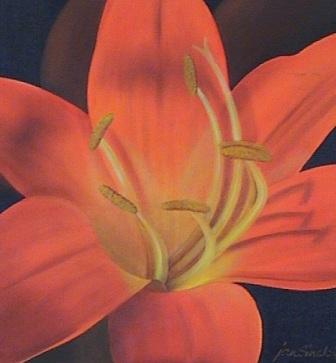 Clivia - Oil - 370mm x 370mm - For Sale - R1640