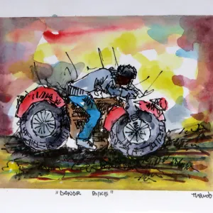 Zanne's Small Studio — Donor Bike