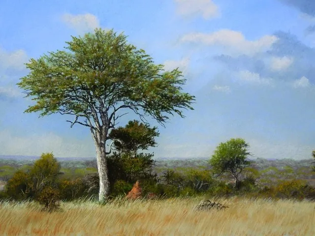 David Adnams — David Johnson - Leadwood Tree, Kurger Park