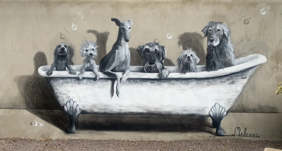Melissa Sautereau — Bath time
