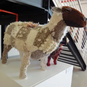Dana Biddle — Big Sheep. Wire armature covered with knitted merino wool. 80cm x 50cm x 27cm. Artist's collection.