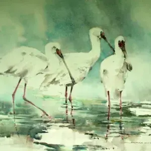 Barbara Siedle — Three Spoonbills