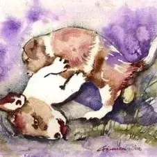 Christiane Behrmann — Dogs Play