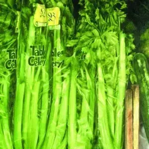 Mark Attwood — Mark Midgley - Celery
