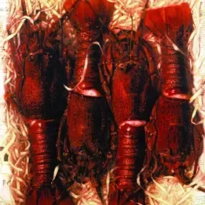 Mark Attwood — Mark Midgley - Crayfish