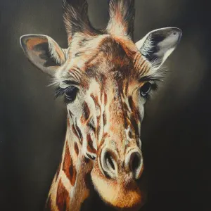 Jennefer Ann Gordon Grant — Gentle Giant