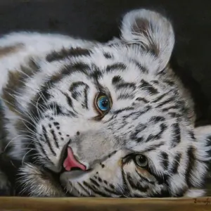 Jennefer Ann Gordon Grant — White Tiger Cub