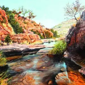 Chris Adendorff — Chris Watcham - Rock Pool in the Magaliesberg Mountains