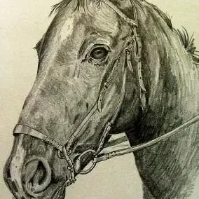 Dennis Clark — Portrait of a Horse