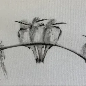 Melissa Sautereau — Moving up