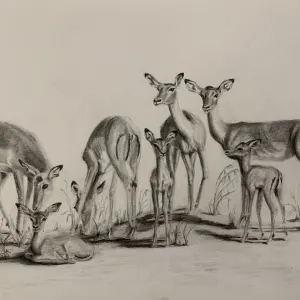 Melissa Sautereau — Family