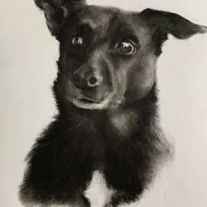 Melissa Sautereau — Old friend
