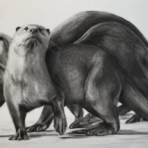 Melissa Sautereau — A lotta otter