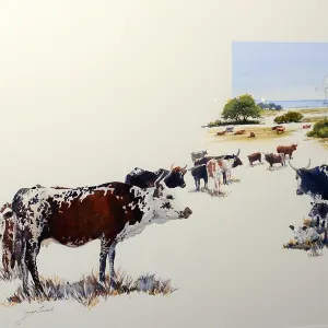 Peeping Calf