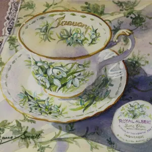 Royal Albert Flower of the Month - January