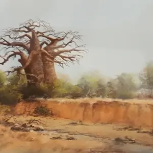 Baobob Boss