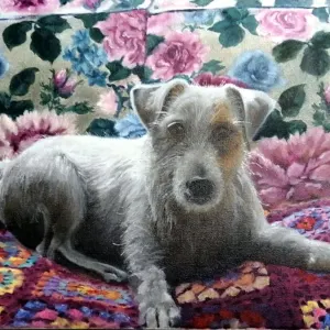 Woofie's Spot