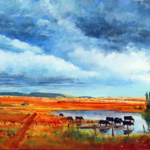 Storm Brewing