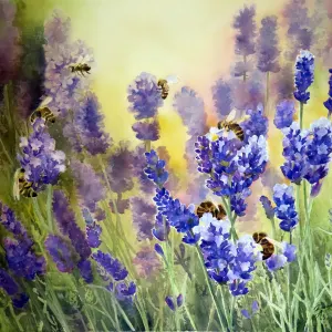 Stop. Small the Lavender