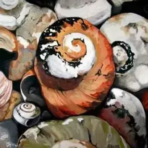 Sharon Welman — Shells 009