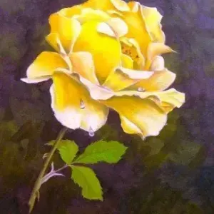 Dennis Clark — Yellow Rose
